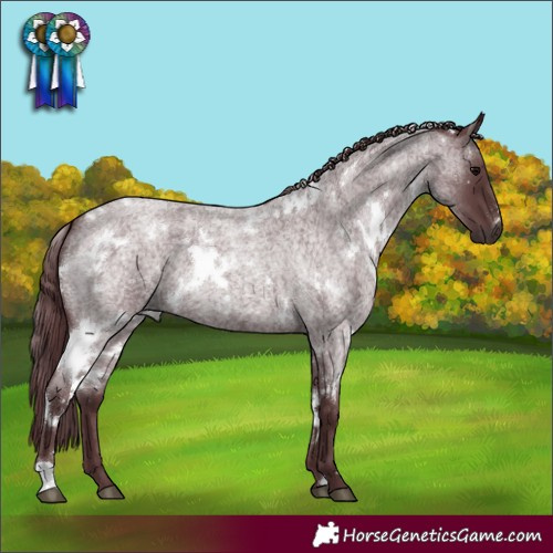 Horse Color:White Spotted Chocolate Blue Roan