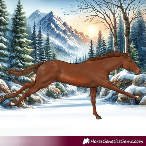Horse Color:Chestnut Varnish 