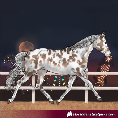 Horse Color:White Spotted Silver Brown Dun Tobiano Leopard Rabicano 