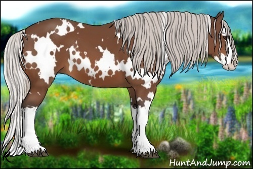 Horse Color:White Spotted Silver Bay Splash 