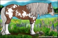 Horse Color:White Spotted Silver Bay Splash