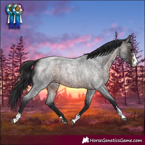 Horse Color:Brown Roan Sabino