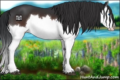 Horse Color:Brown Splash