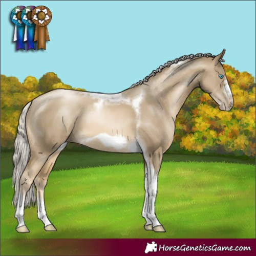 Horse Color:Silver Smoky Black Pearl Tobiano Frame