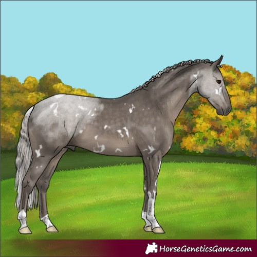 Horse Color:White Spotted Silver Black Tobiano 