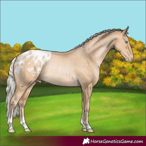 Horse Color:Silver Smoky Black Pearl Varnish Rabicano 