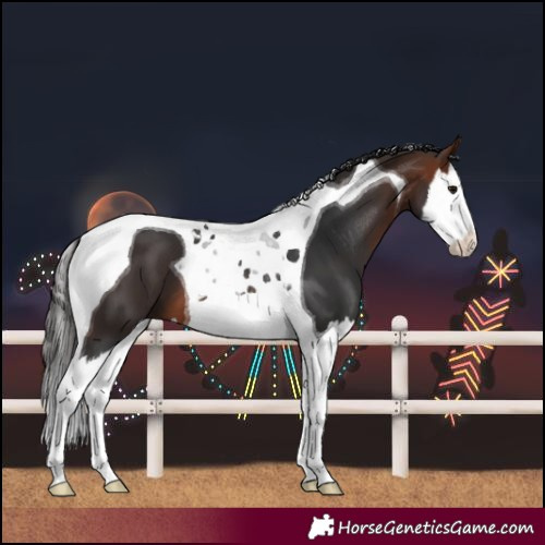 Horse Color:Bay Splash Tobiano