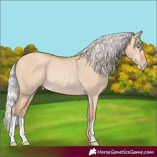 Horse Color:Silver Amber Champagne Dun Rabicano 