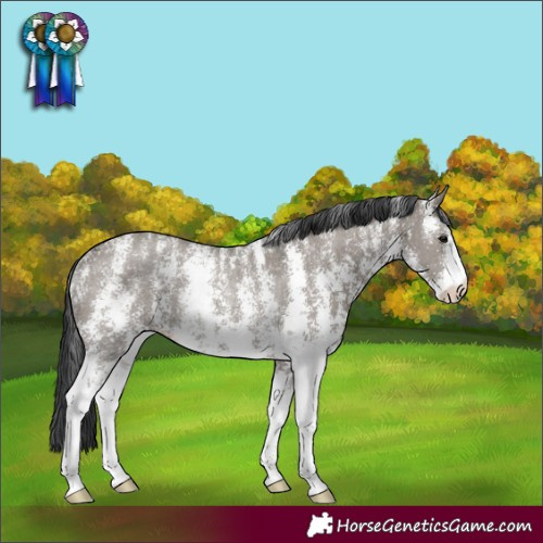 Horse Color:Powder White Grullo Sabino Rabicano