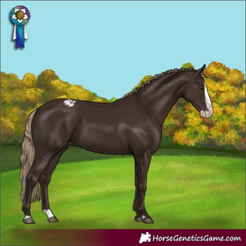 Horse Color:Liver Chestnut Splash Varnish