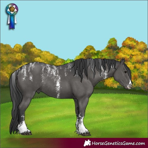 Horse Color:Powder White Black Sabino Rabicano