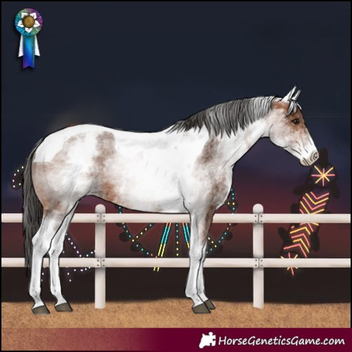 Horse Color:White Spotted Bay Tobiano 