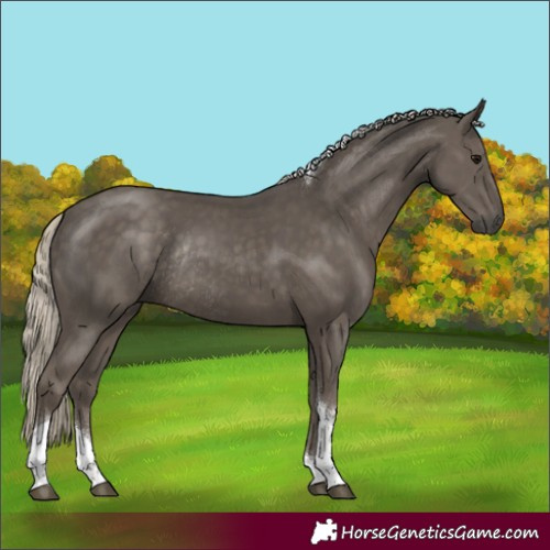 Horse Color:Silver Smoky Black Tobiano Rabicano