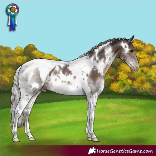 Horse Color:White Spotted Silver Black Tobiano Blanket Rabicano