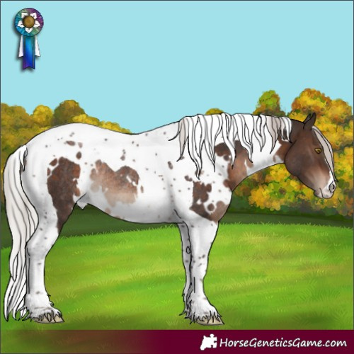 Horse Color:White Spotted Silver Brown Tobiano Rabicano 