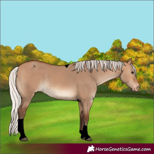 Horse Color:Void Silver Bay Dun Tobiano Varnish Rabicano 
