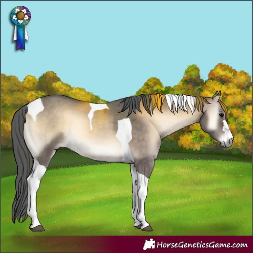 Horse Color:Brown Onyx Merle Tobiano Rabicano 