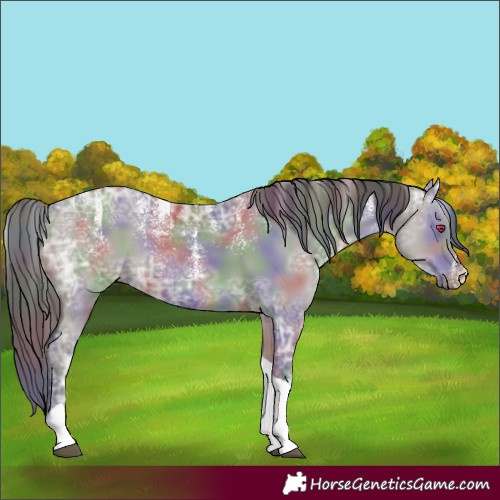 Horse Color:Powder White Nacre Grullo Ice Tobiano Rabicano