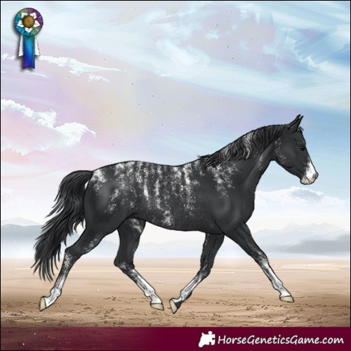 Horse Color:Powder White Black Rabicano