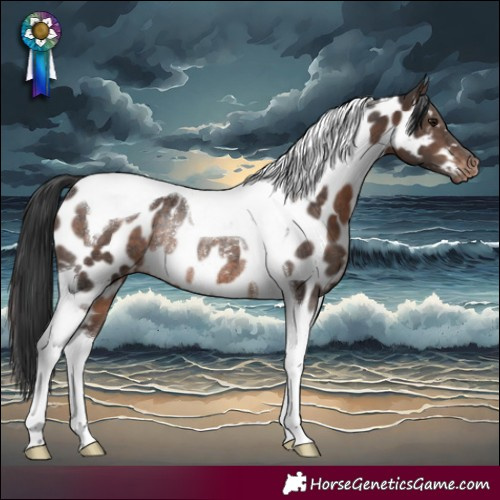 Horse Color:Brown Tobiano Near Leopard Rabicano