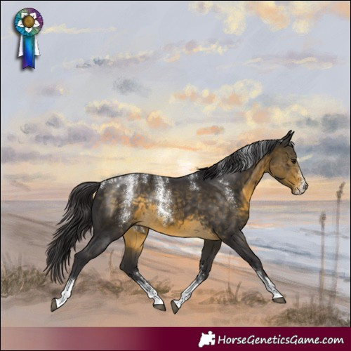 Horse Color:Powder White Buckskin Rabicano