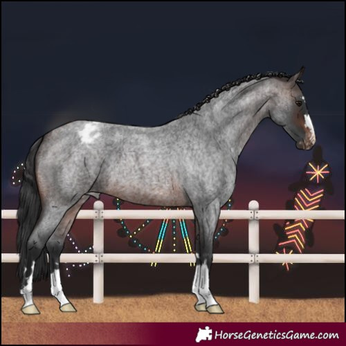 Horse Color:Brown Roan Varnish 