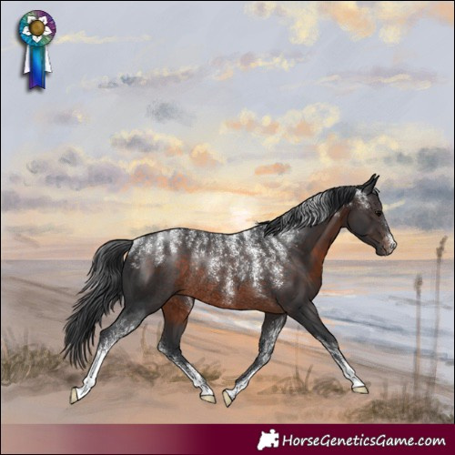 Horse Color:Powder White Brown Rabicano