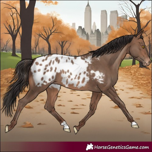 Horse Color:Sable Champagne Blanket