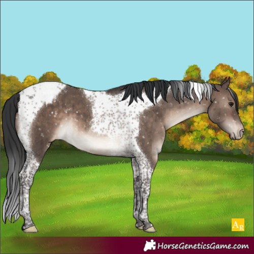 Horse Color:Brown Dun Mushroom Tobiano Snowcap Brindle 