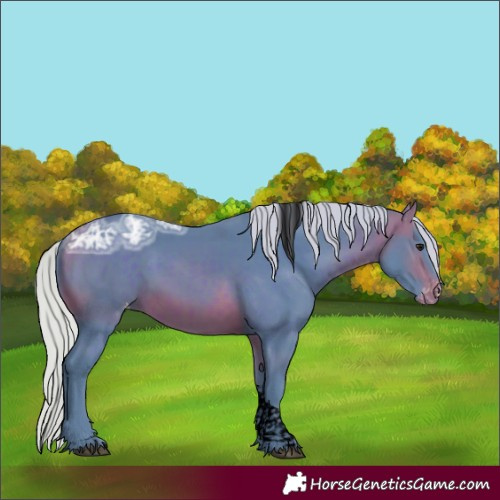Horse Color:Void Watercolor Silver Bay Ice Tobiano Skewed LP Spotted Rabicano 