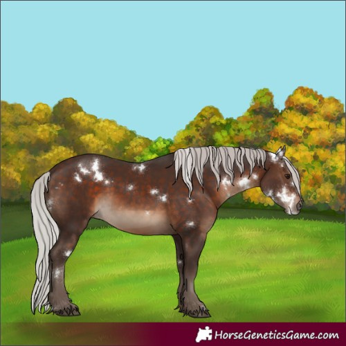 Horse Color:White Spotted Silver Brown