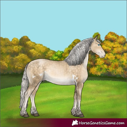 Horse Color:White Spotted Silver Brown Rabicano