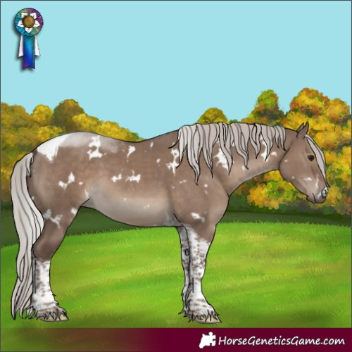 Horse Color:White Spotted Silver Grullo Tobiano 