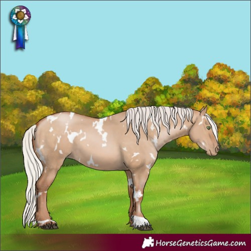 Horse Color:White Spotted Silver Brown Pearl Dun 