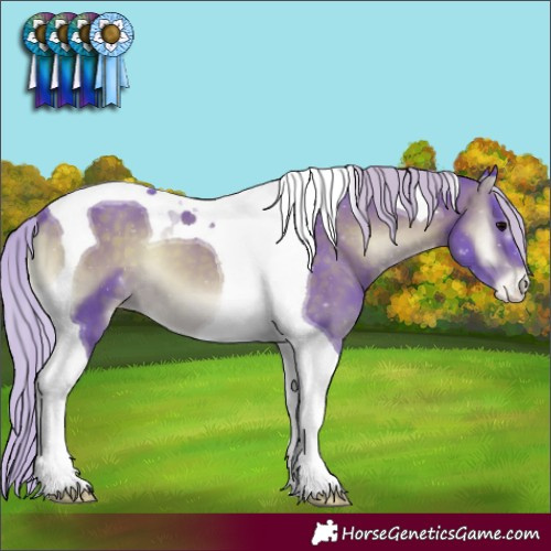 Horse Color:Watercolor Silver Brown Onyx Tobiano Varnish
