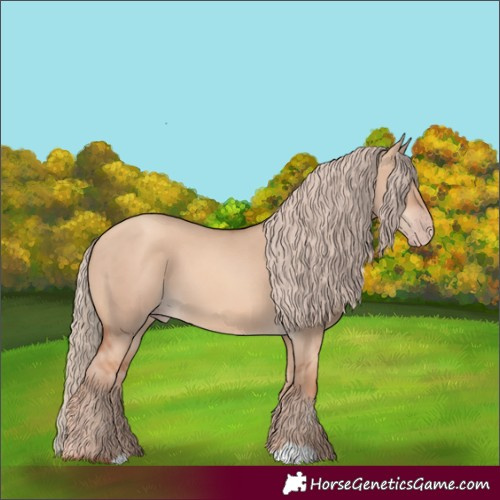 Horse Color:Gold Champagne Dun