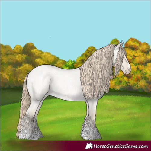 Horse Color:Smoky Creme Roan Dun