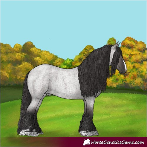 Horse Color:Smoky Grullo Roan 