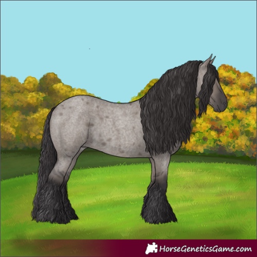Horse Color:Smoky Grullo Roan 