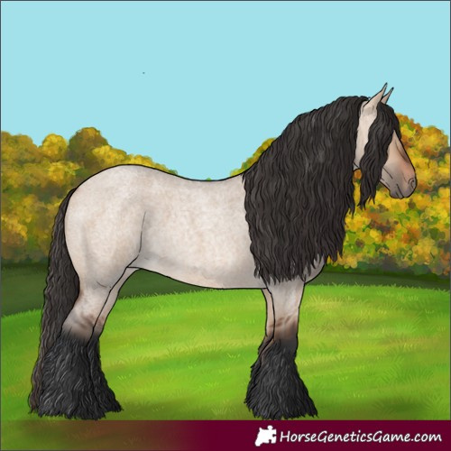 Horse Color:Bay Roan Dun