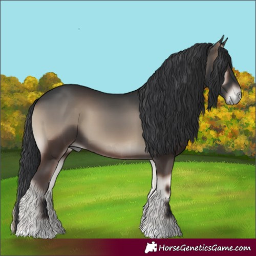 Horse Color:Blue Onyx 