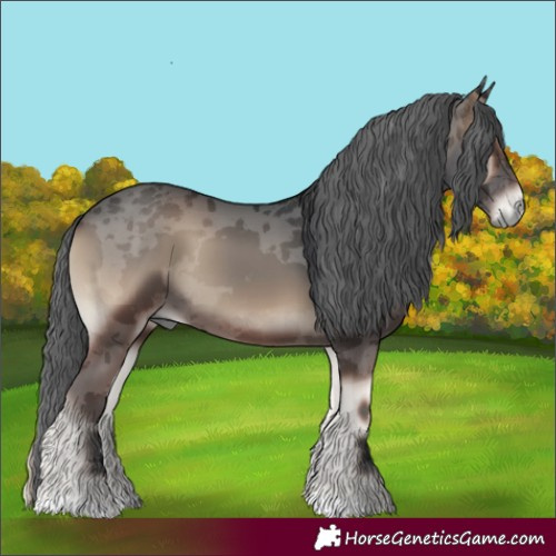 Horse Color:Blue Onyx Merle 