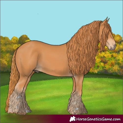 Horse Color:Chestnut 