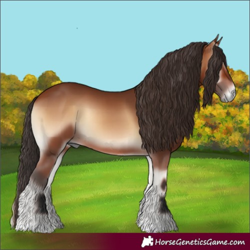 Horse Color:Bay Onyx 