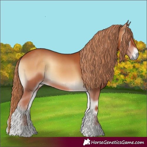 Horse Color:Red Onyx