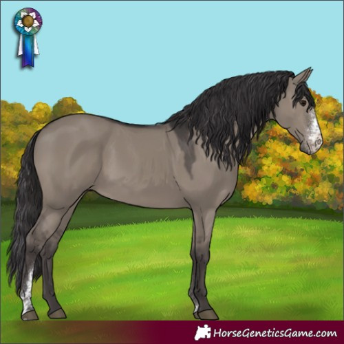 Horse Color:Smoky Grullo Sabino 