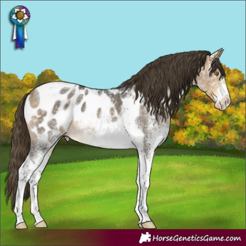 Horse Color:White Spotted Buckskin Mushroom Tobiano Blanket