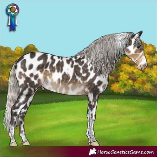 Horse Color:Silver Smoky Black Tobiano Near Leopard 
