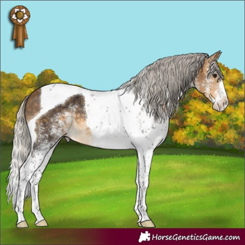 Horse Color:White Spotted Silver Buckskin Tobiano