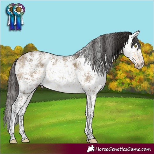 Horse Color:White Spotted Buckskin Dun Mushroom Sabino 